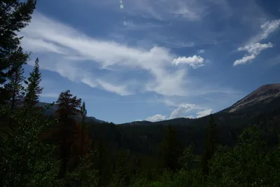 DSC_3233 (Large).JPG